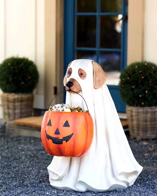 Ghost Dog Costume