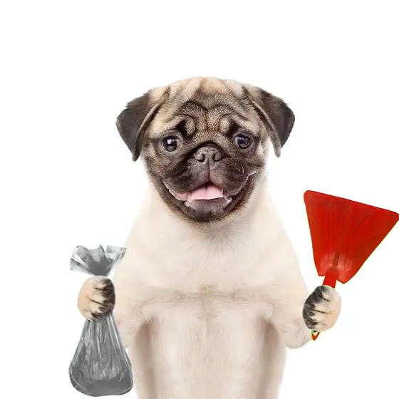 Dog Poop Clean Up Service